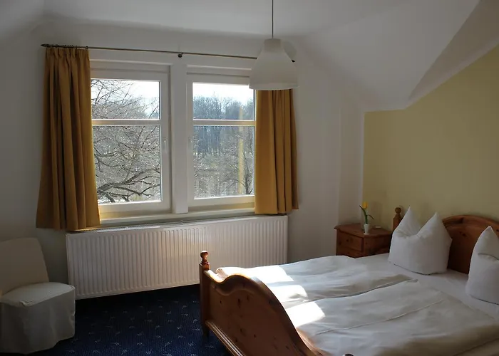 Pillnitzer Elbblick Drezno